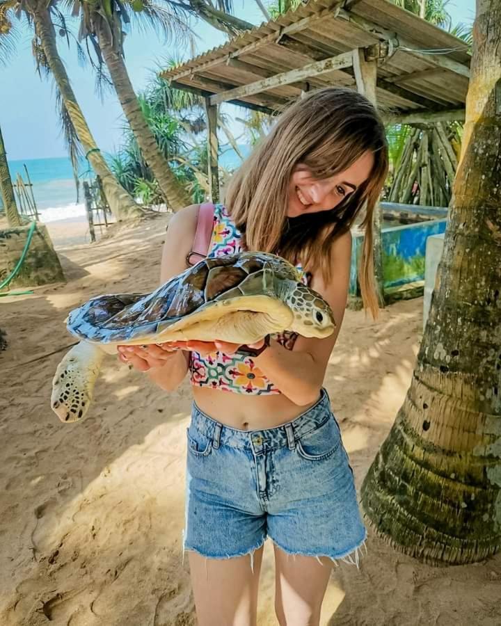 Ceylon Serenity Villas Beruwala Dış mekan fotoğraf