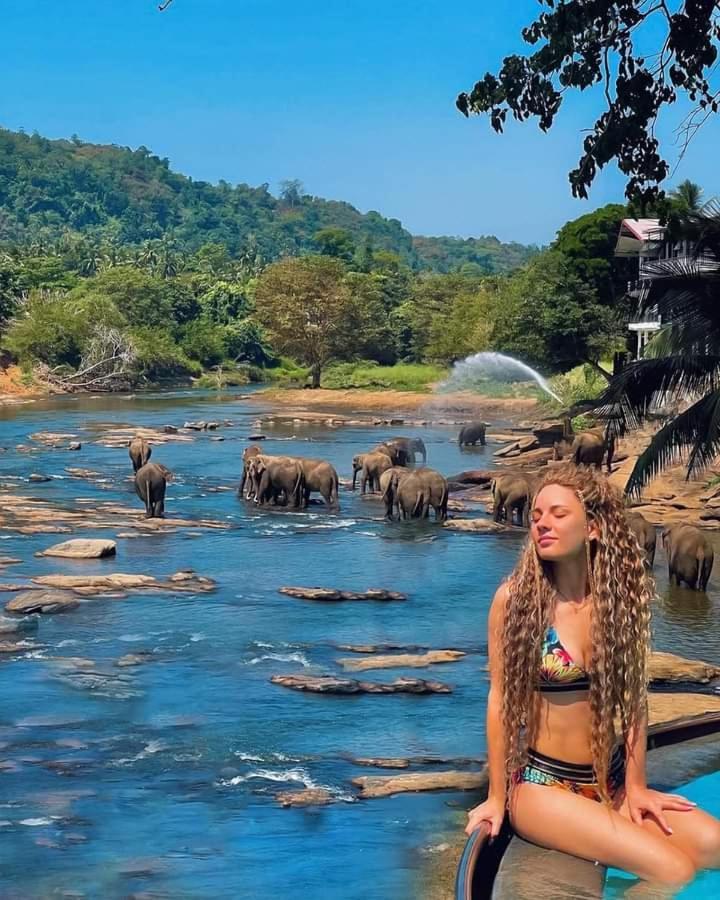 Ceylon Serenity Villas Beruwala Dış mekan fotoğraf